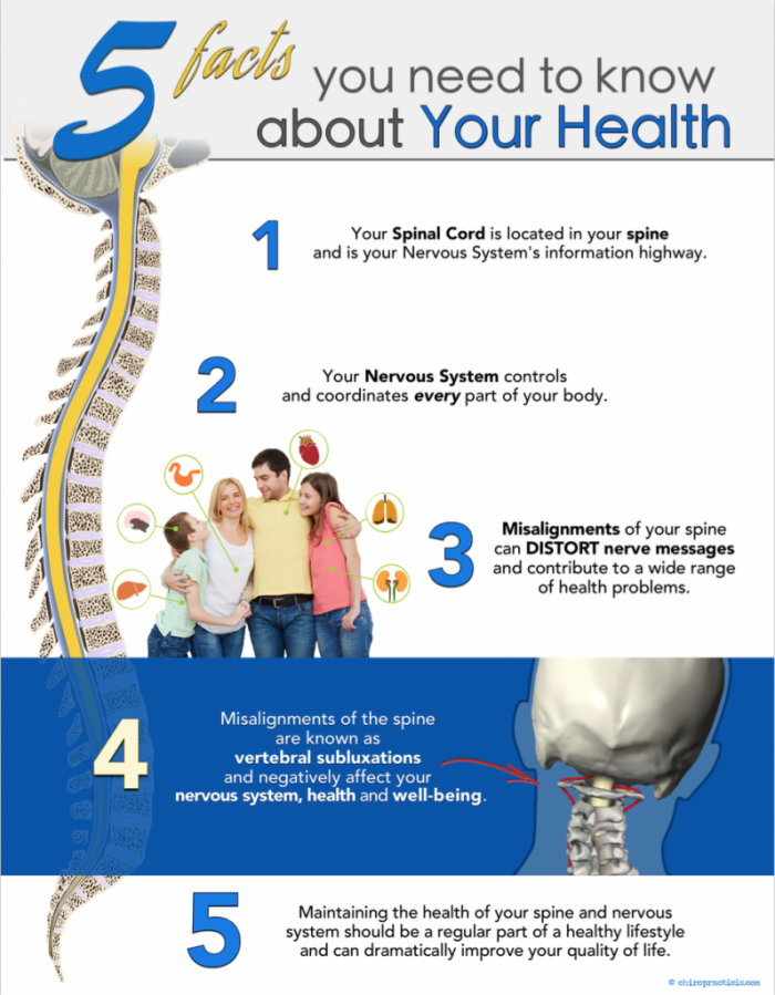 5 Facts Chiropractic Spine Nervous System